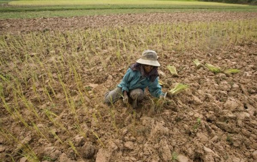 tumblr_inline_nvs8vdATFF1tz55lg_500